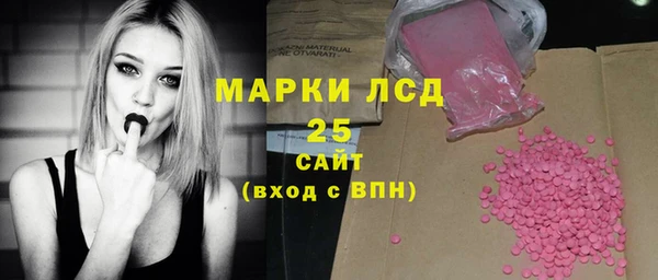 spice Краснослободск