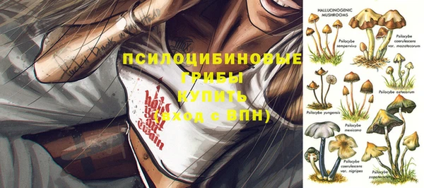 прущий лед Кукмор