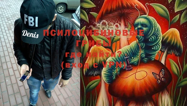 spice Краснослободск