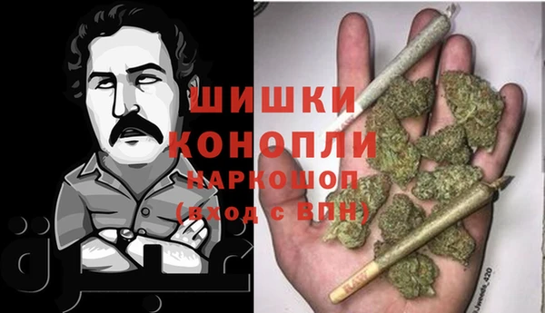 spice Краснослободск