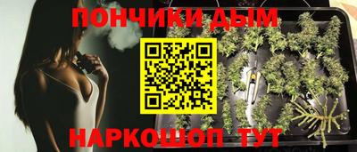 прущие грибы Апшеронск