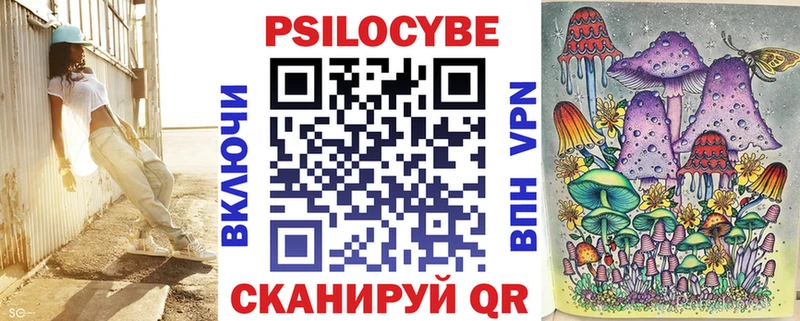 купить   Березники  Псилоцибиновые грибы мицелий 