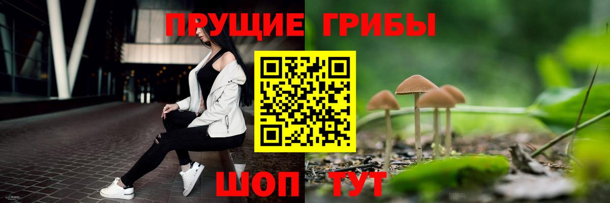 Березники  Галлюциногенные грибы мухоморы  Псилоцибиновые грибы мицелий  Вход с VPN 